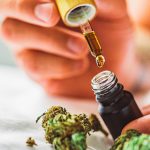 Nature’s Elixir: Cold Pressed CBD Oil for Mind and Body Balance